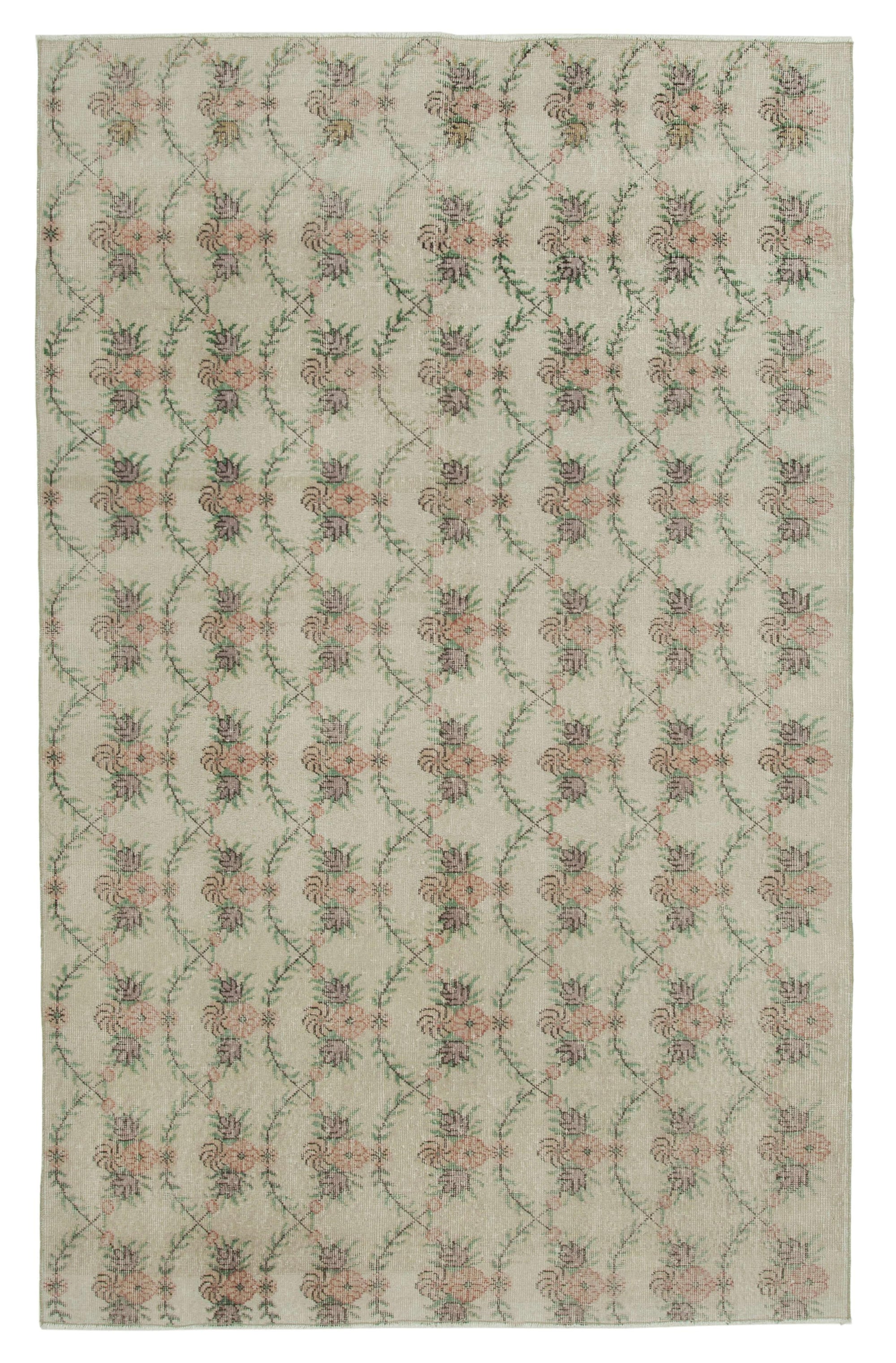 6 x 9 Beige Bohemian Rug  - 743