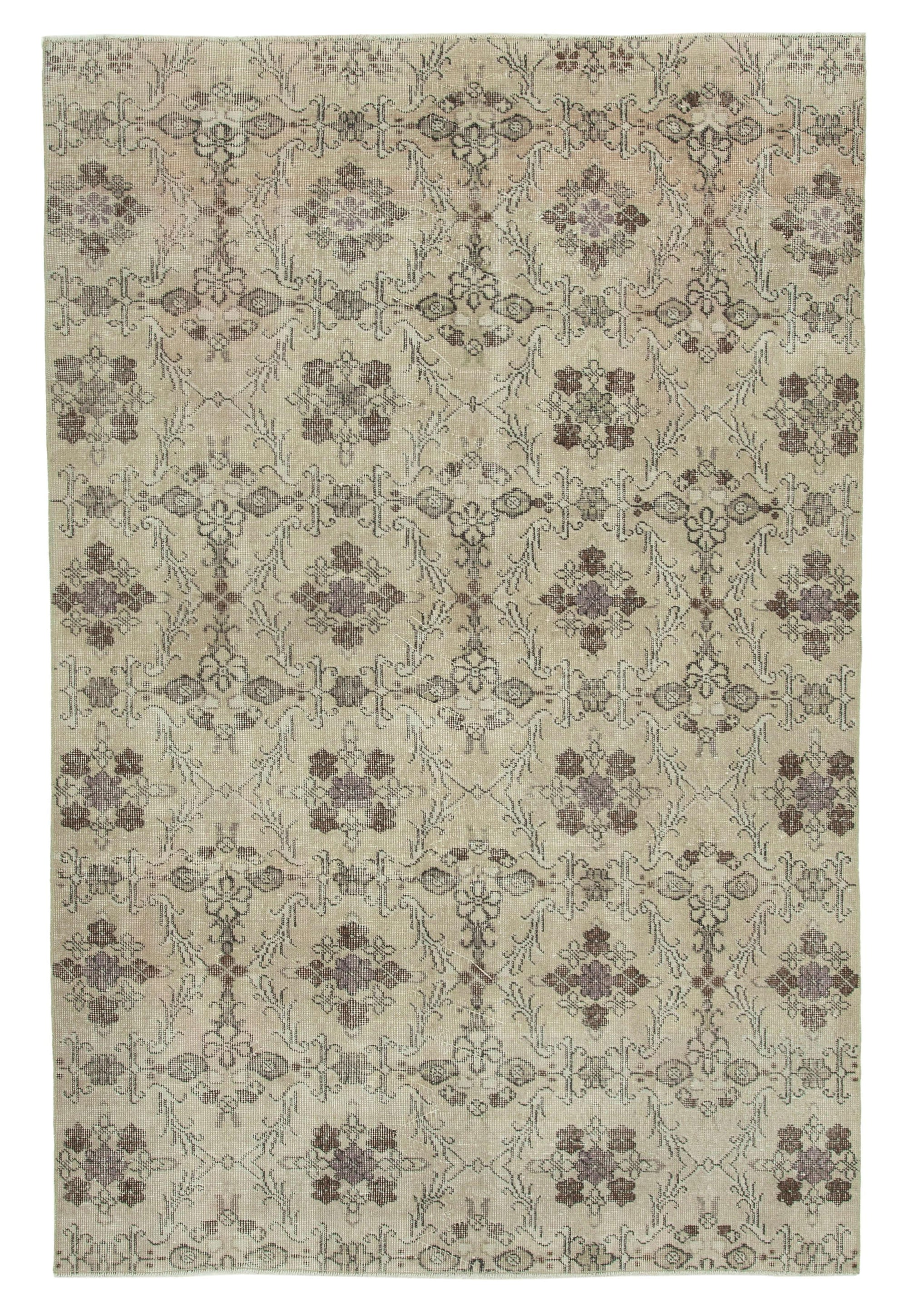 6 x 8 Beige Bohemian Rug  - 744