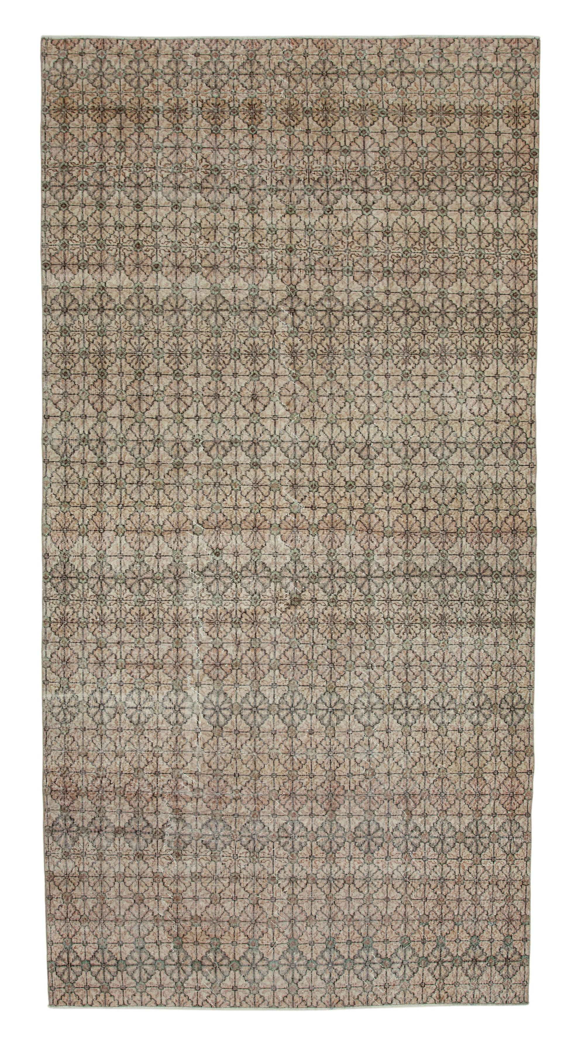 6 x 12 Beige Bohemian Rug  - 773