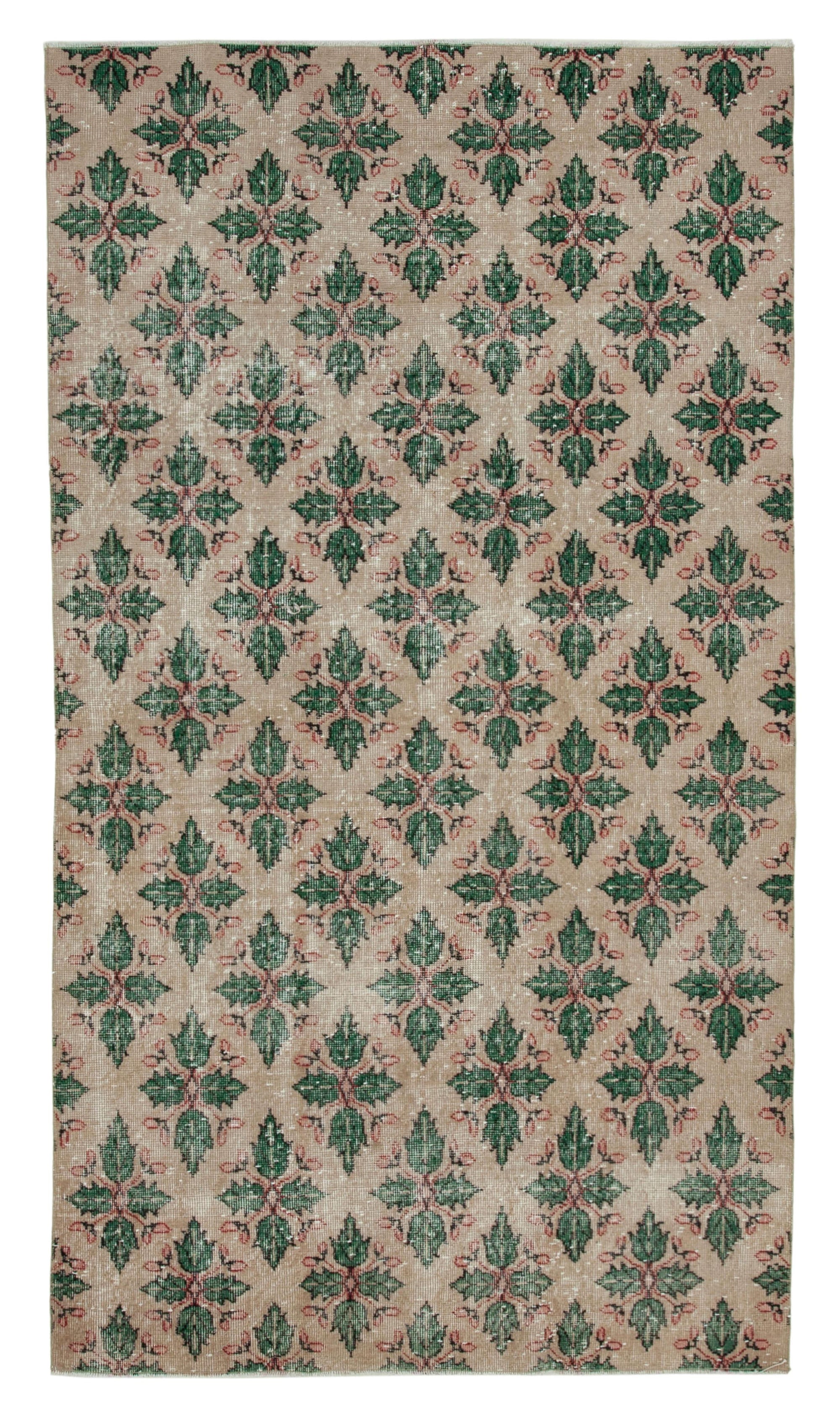 5 x 8 Beige Bohemian Rug  - 1677