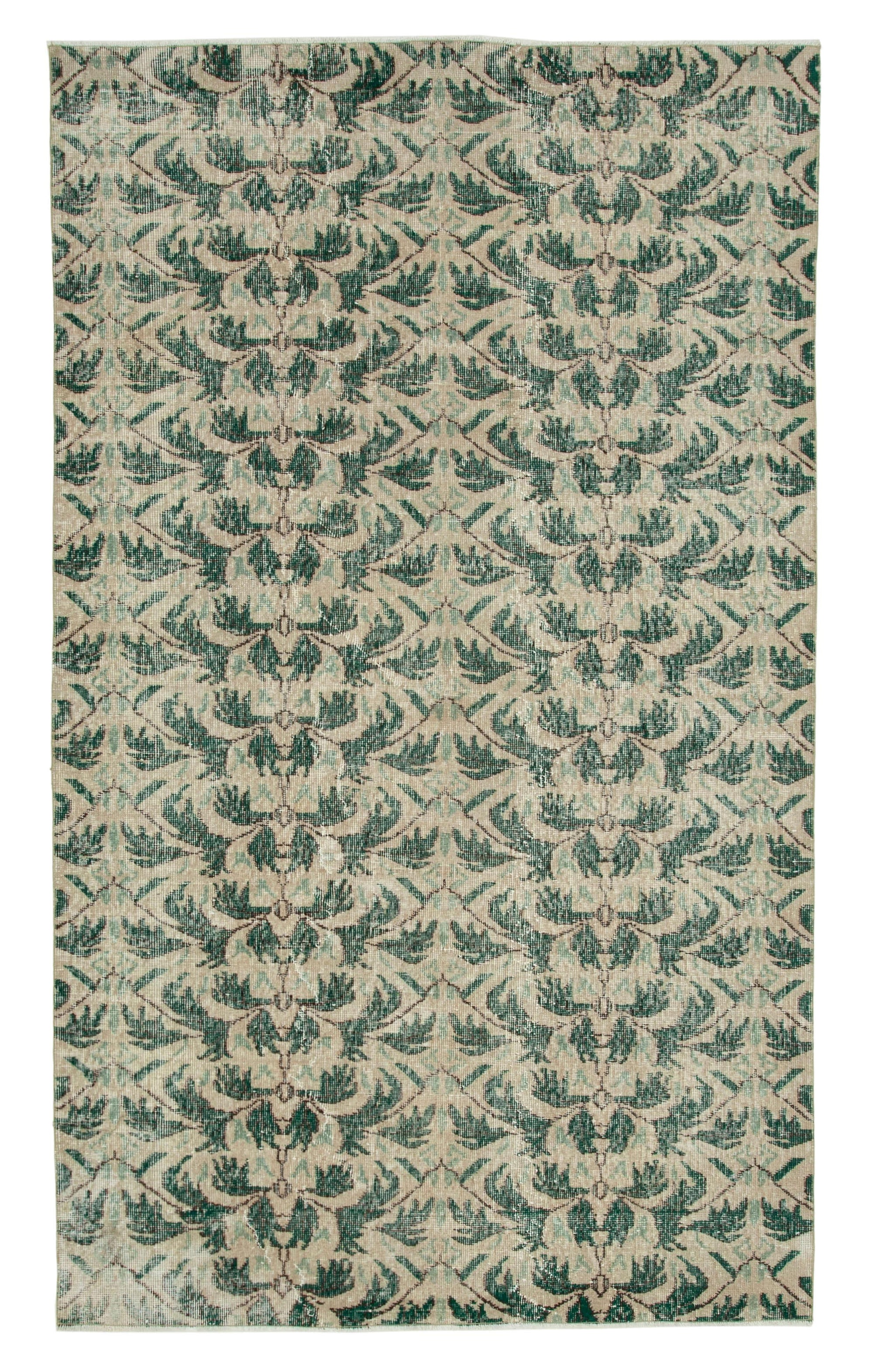 5 x 9 Beige Bohemian Rug  - 1682