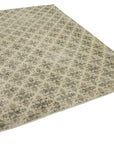 7 x 10 Beige Bohemian Rug  - 2324