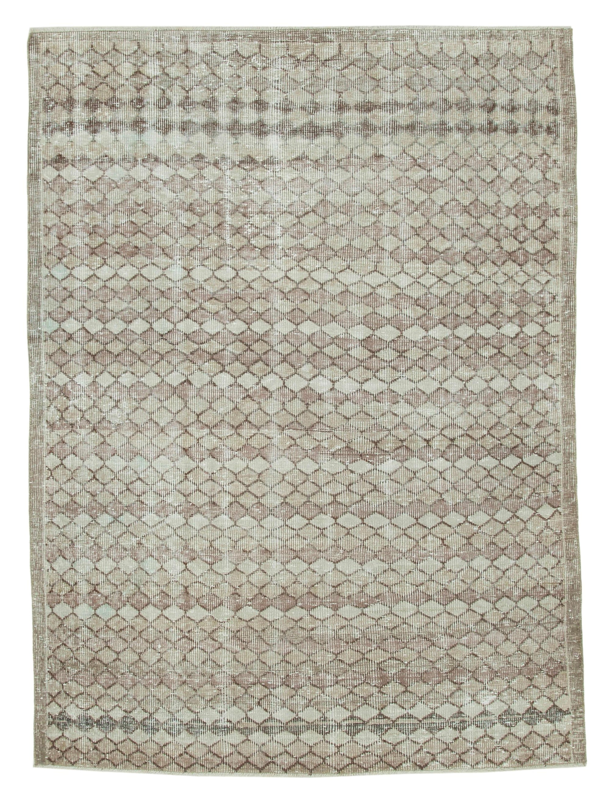 5 x 7 Beige Boho Rug - 3247