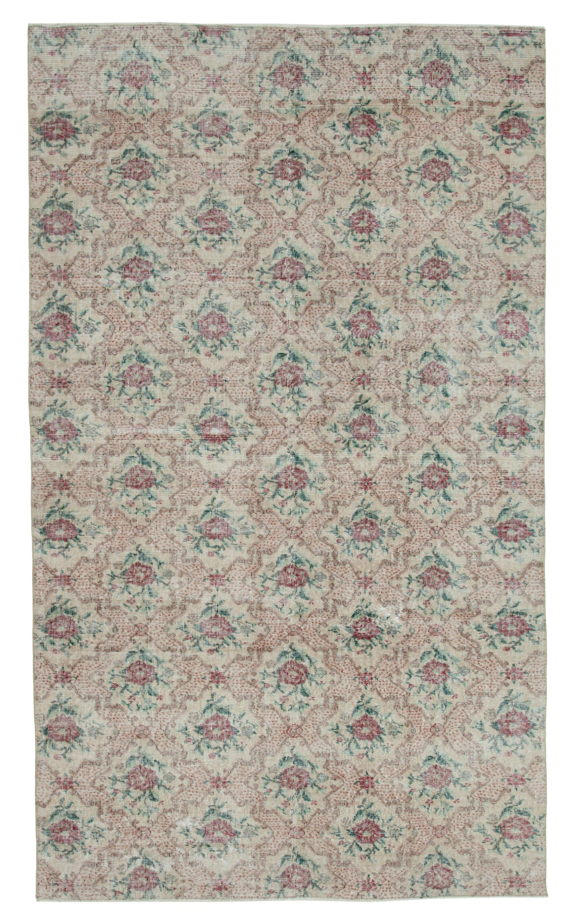 6 x 10 Beige Bohemian Rug  - 3294