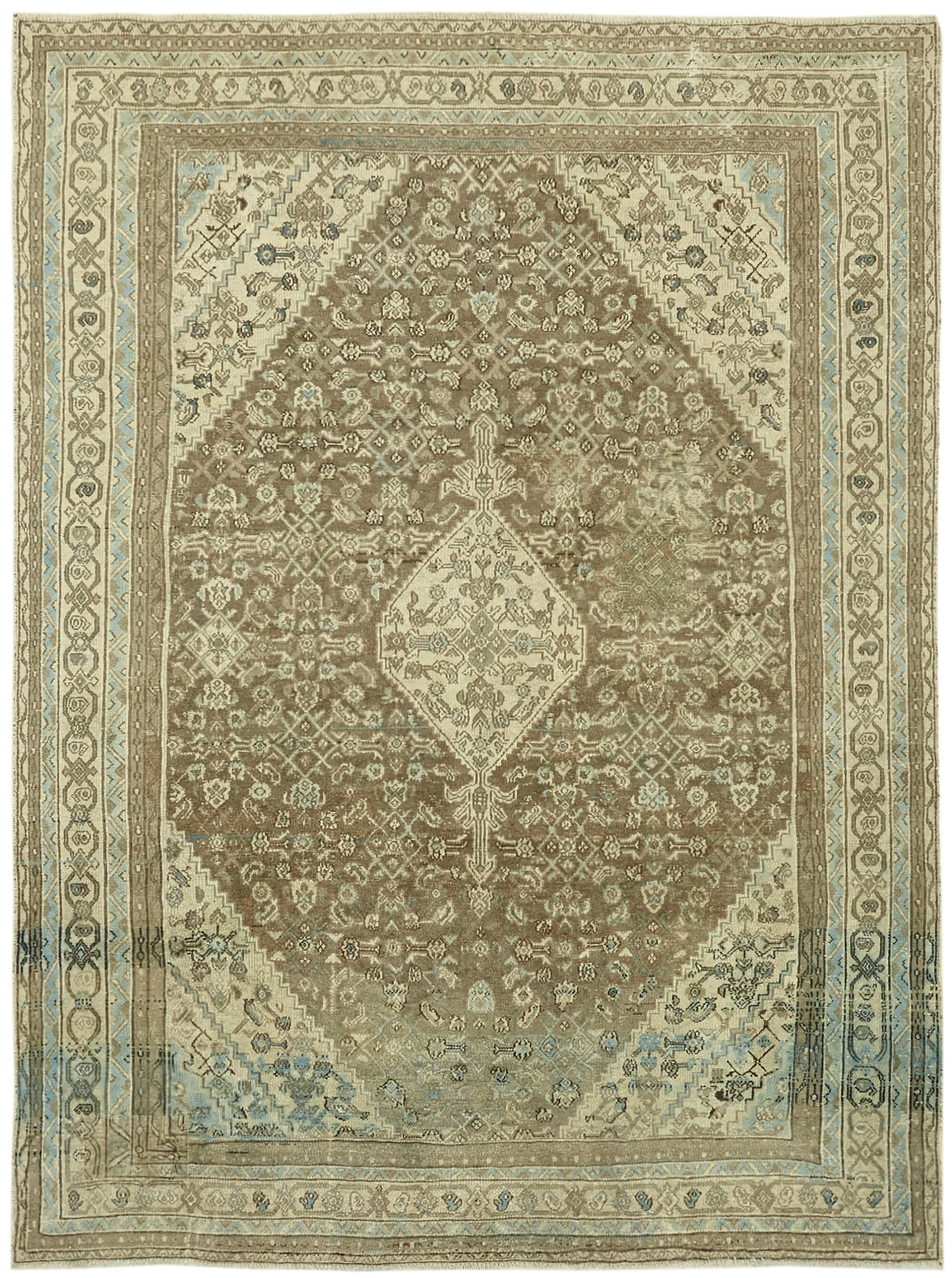 8 x 12 Beige Vintage Large Area Rug - 6901