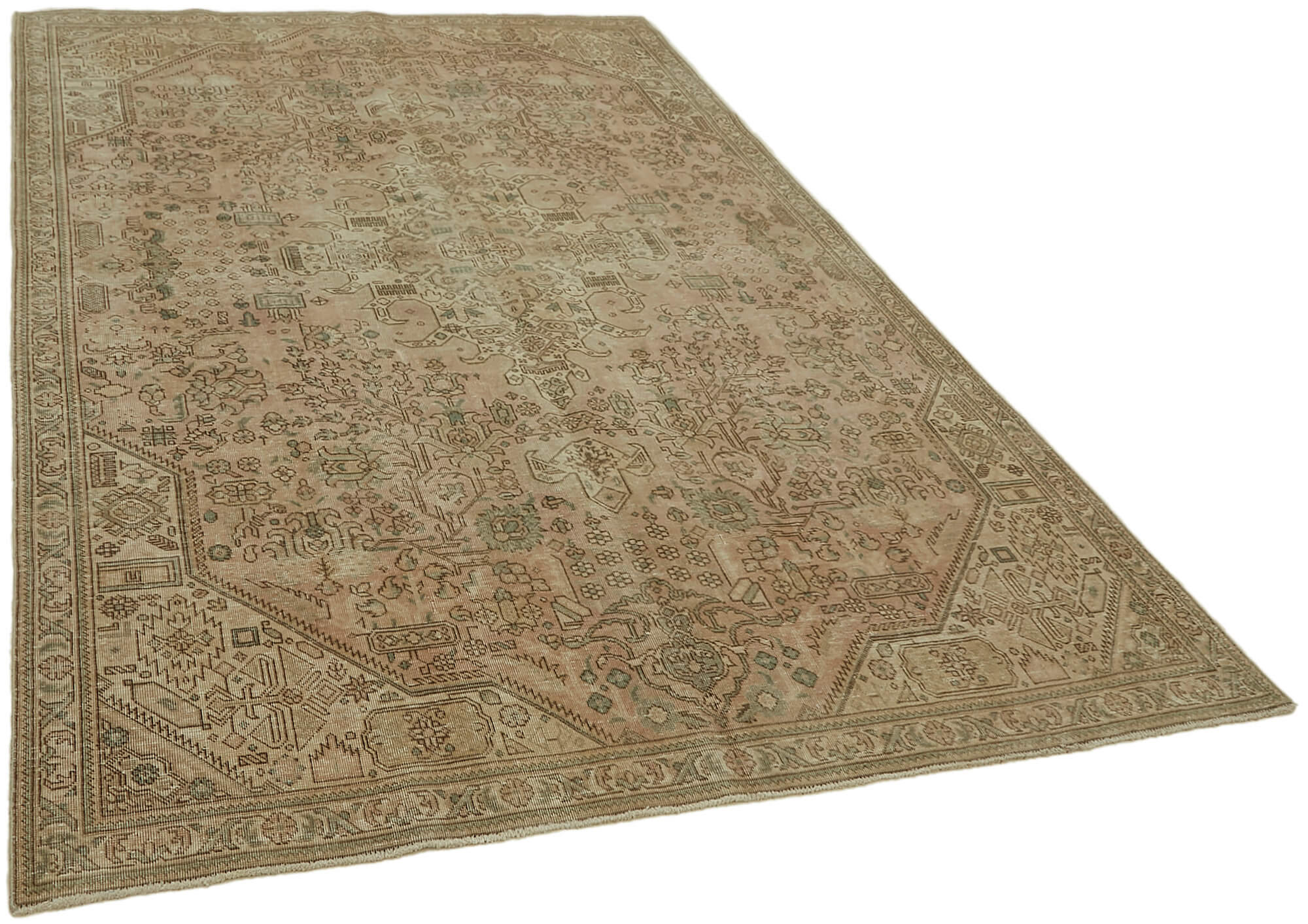 6 x 9 Beige Vintage Large Area Rug - 7298