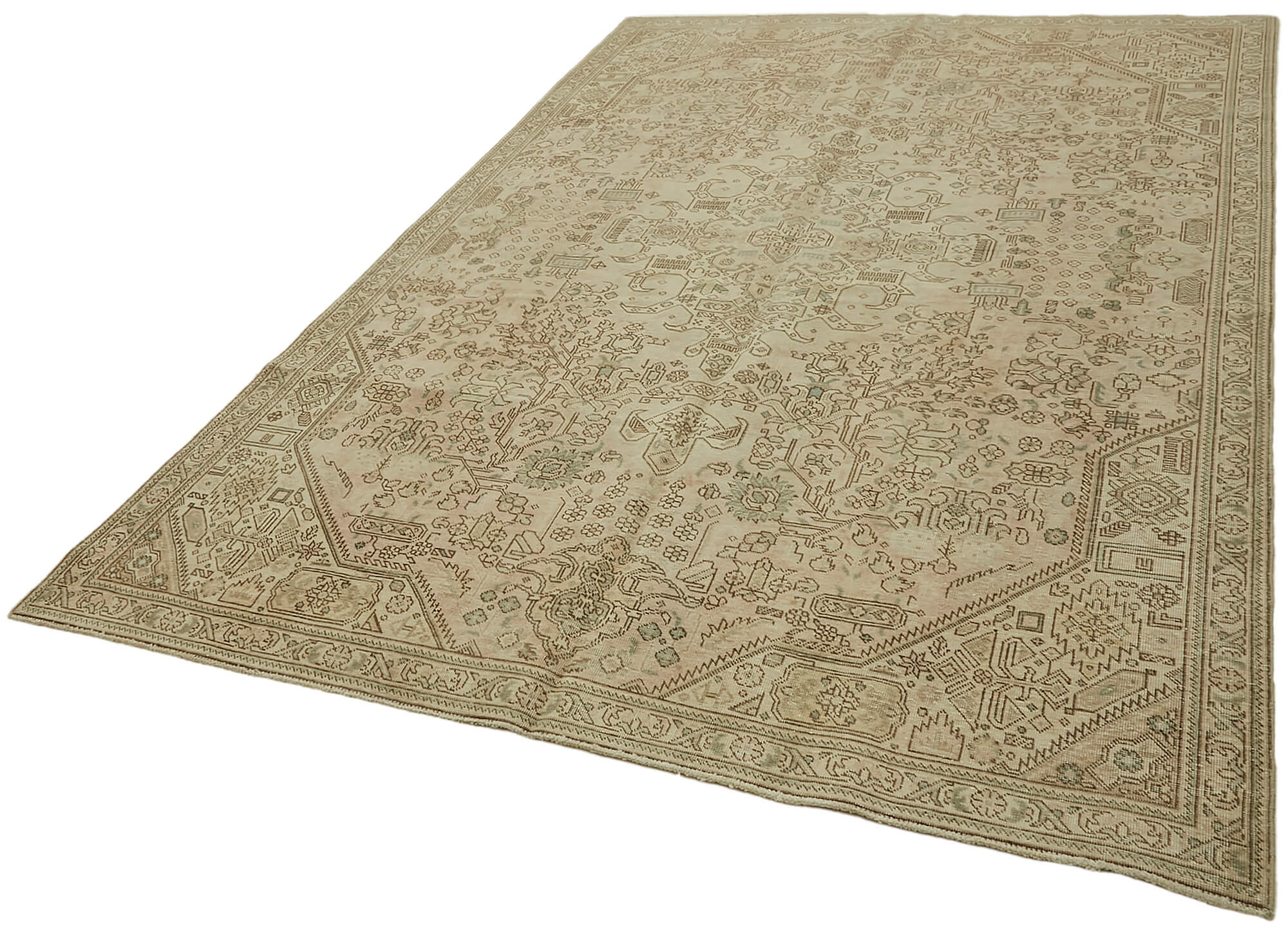 6 x 9 Beige Vintage Large Area Rug - 7298