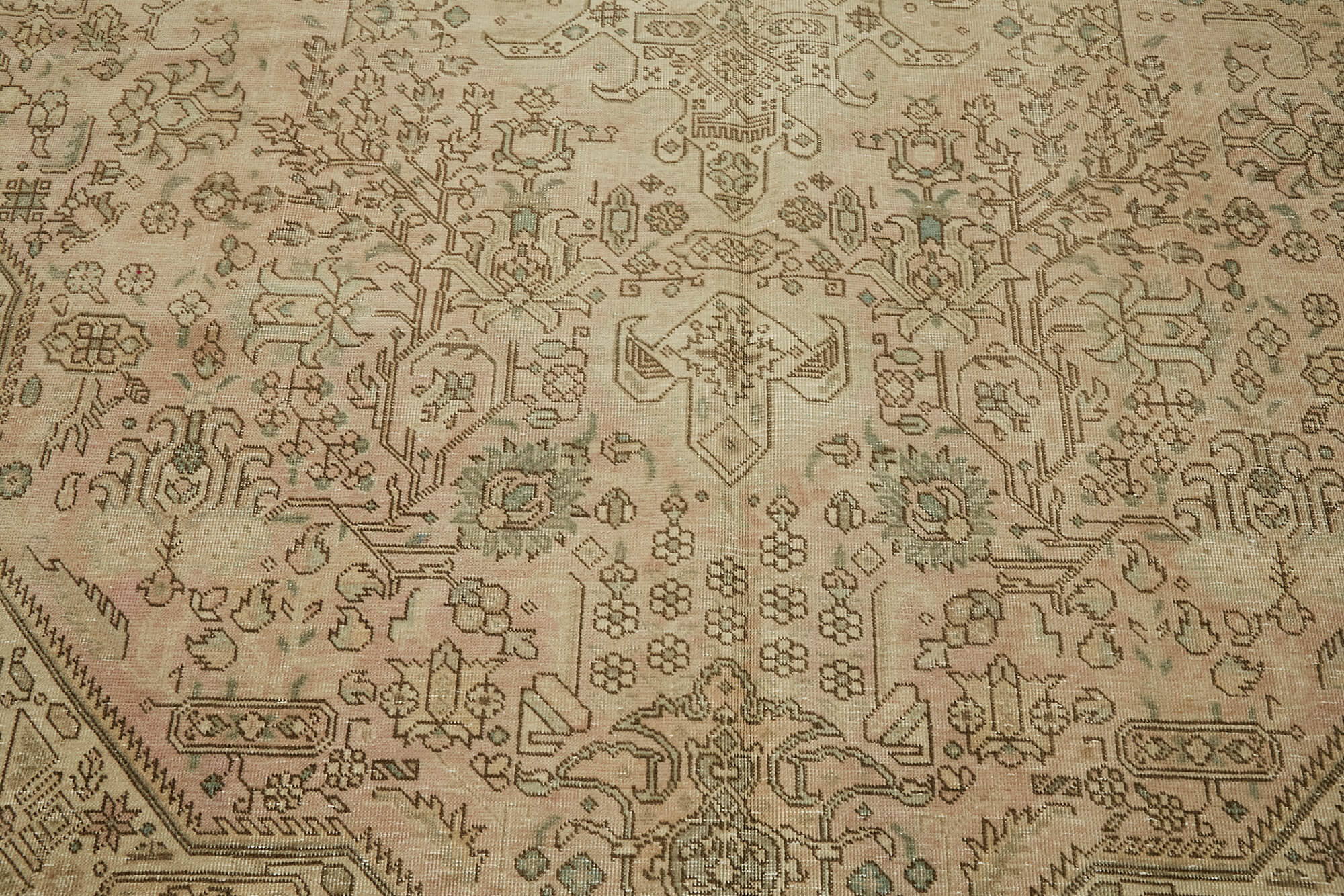 6 x 9 Beige Vintage Large Area Rug - 7298