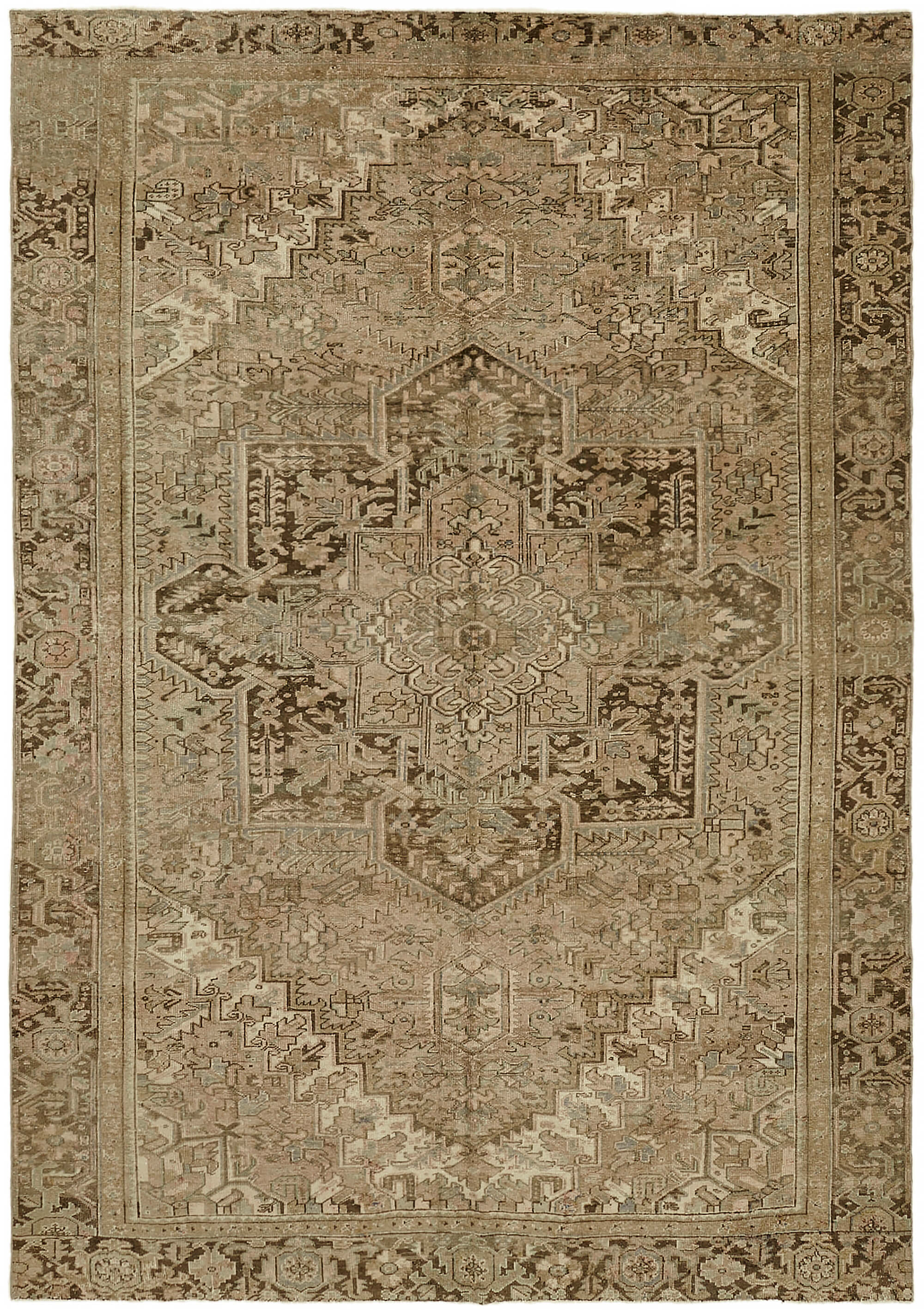 9 x 13 Beige Vintage Large Area Rug - 7337