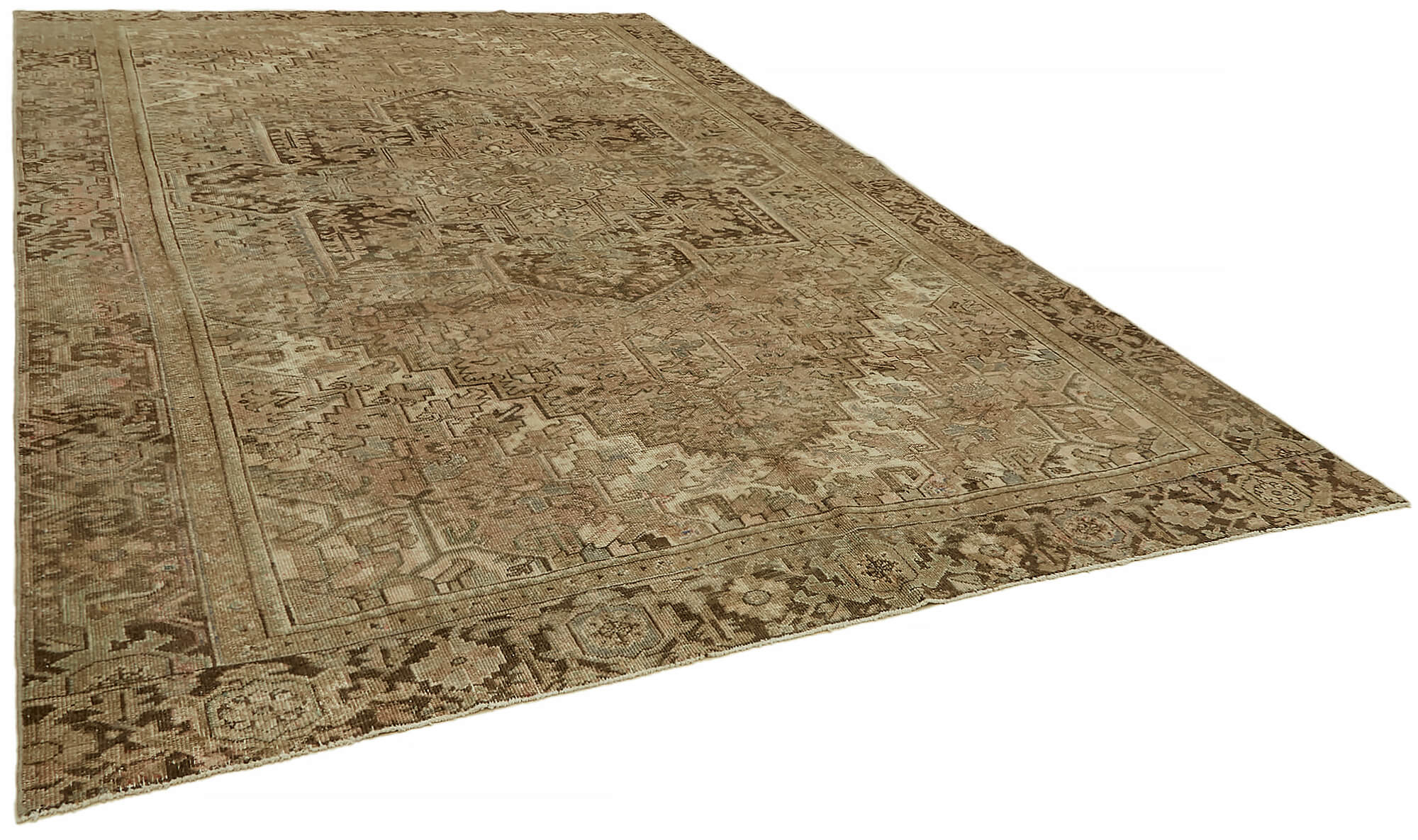 9 x 13 Beige Vintage Large Area Rug - 7337