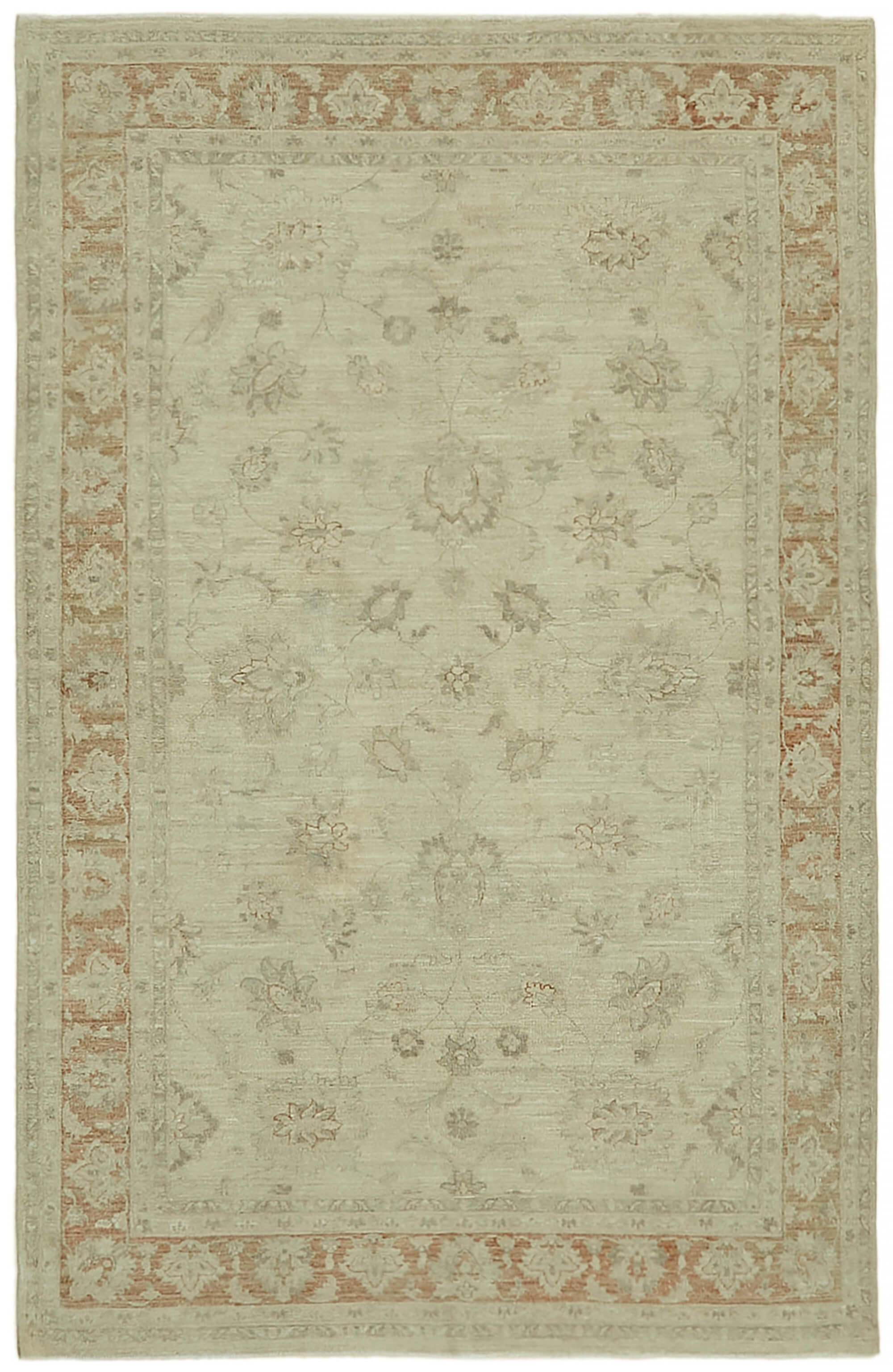 6 x 10 Beige Vintage Large Area Rug - 7414