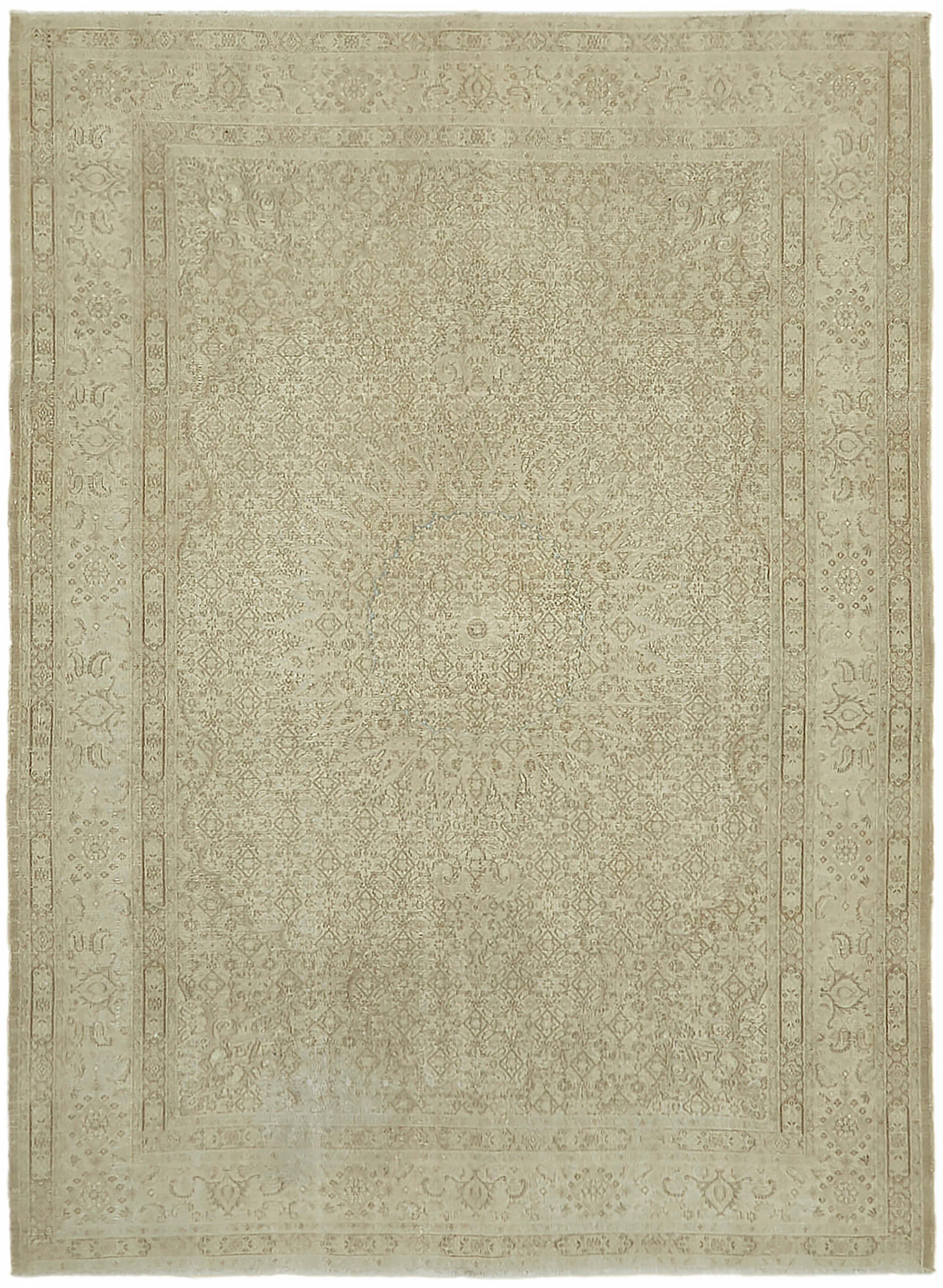 7 x 9 Beige Vintage Large Area Rug - 7424