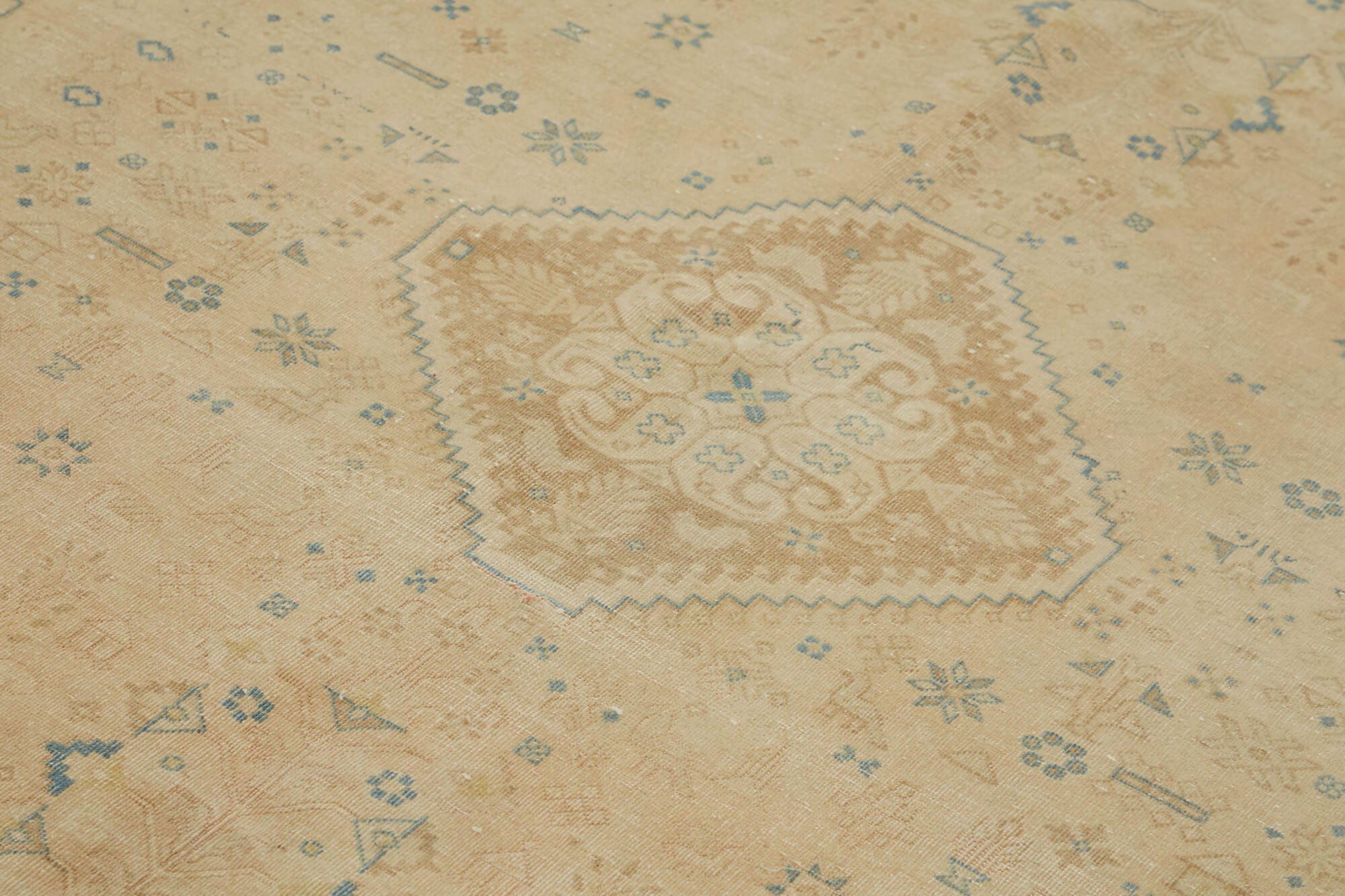 6 x 10 Beige Vintage Large Area Rug - 7425