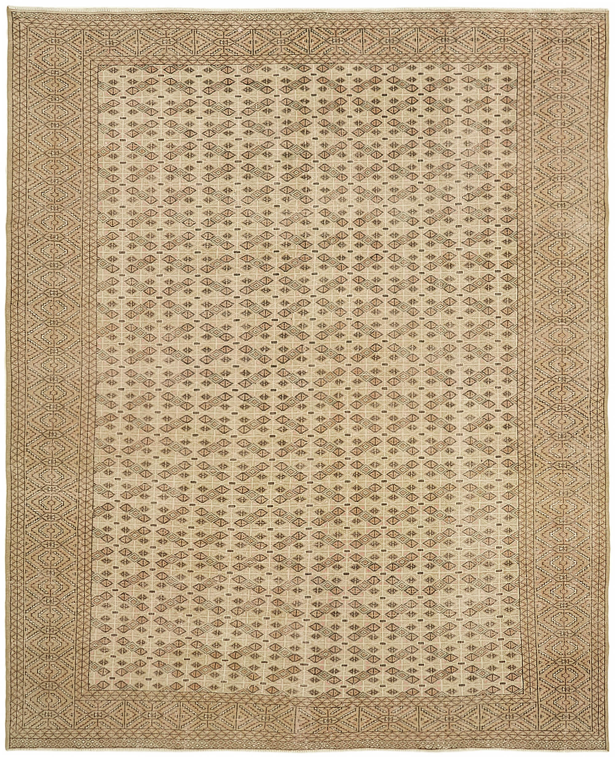 9 x 11 Beige Vintage Large Area Rug - 7648